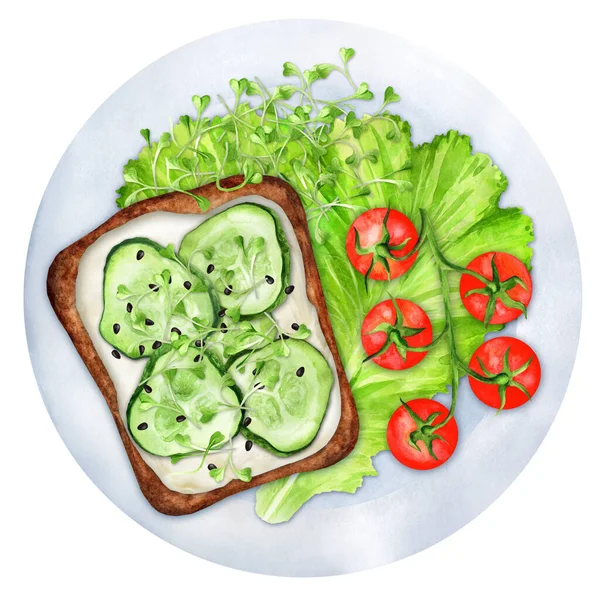 Sandwich Microgreens Cucumber Cream Cheese Plate Delicious Healthy Snack Watercolor — Photo