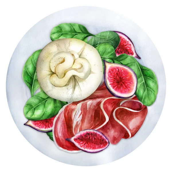 Salada Com Queijo Burrato Figos Prosciutto Prato Vista Superior Watercolor — Fotografia de Stock