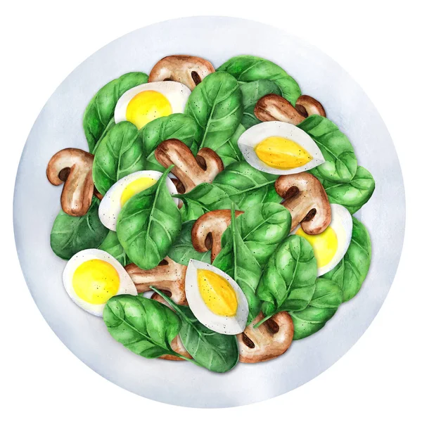 Salad Fresh Spinach Grill Mushrooms Boiled Egg Vegetarian Food Top — Stock Photo, Image
