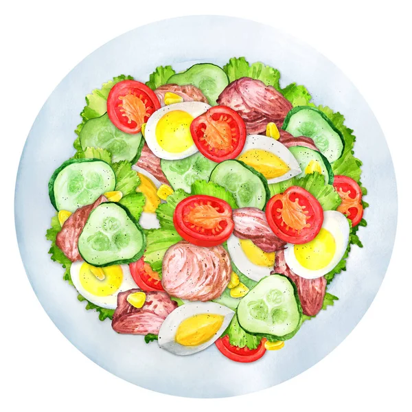 Salad Tuna Egg Vegetables White Plate Top View Hand Painted — 스톡 사진