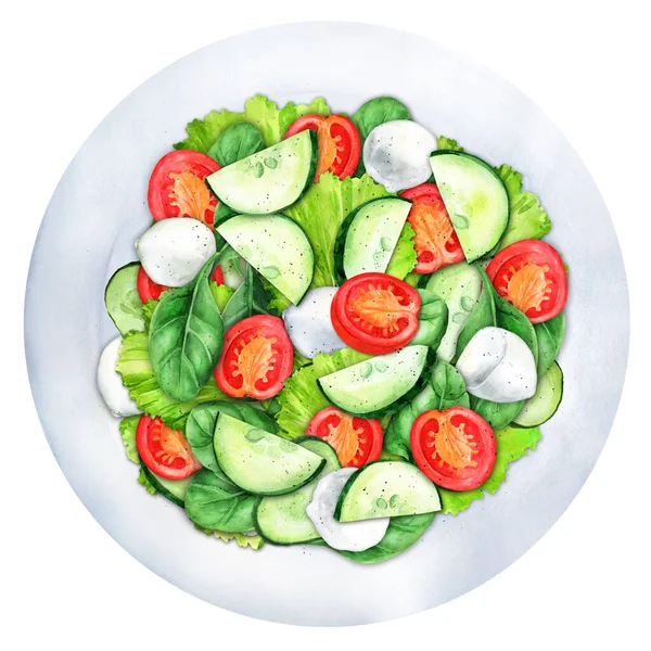 Salad Mozzarella Vegetables Fresh Leaves Plate Healthy Eating Clean Food — Fotografia de Stock