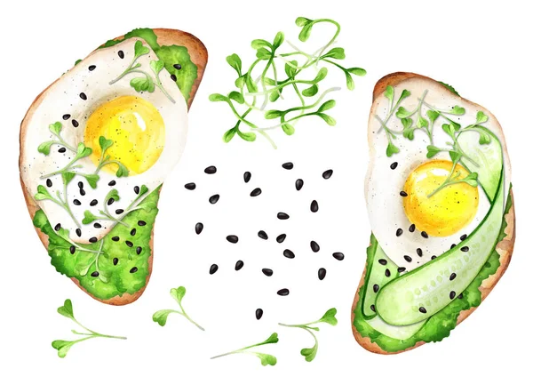 Sandwiches Mashed Avocado Scrambled Eggs Microgreens White Isolated Background Healthy — Stock Fotó