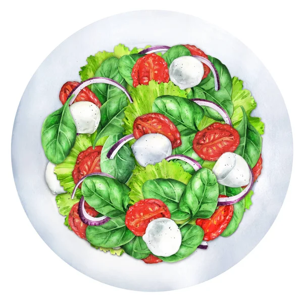 Salad with dried tomatoes mix of fresh leaves and mozzarella cheese. Healthy eating, clean food. Top view. Watercolor illustration. Suitable for menu and cookbook.