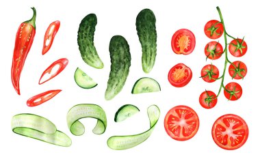 Set of whole and cut vegetables on a white isolated background. Watercolor hand drawn vegetables. Suitable for restaurant, kitchen, menu and cookbook
