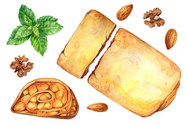 Strudel Mele Con Noci Menta Uno Sfondo Bianco Isolato Illustrazione — Foto Stock