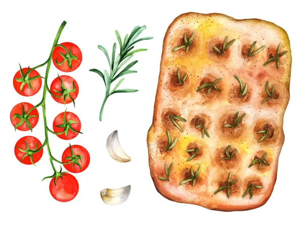 Italiensk Traditionell Focaccia Med Aromatiska Kryddor Vit Isolerad Bakgrund Handritad — Stockfoto