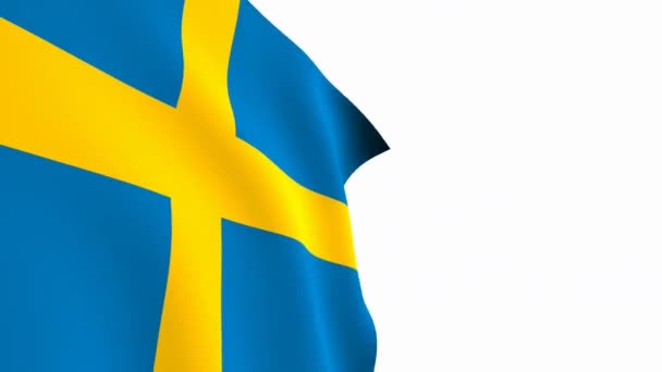 Schwedenflaggen Video Schweden Flagge Slow Motion Video Die Nationalflagge Flattert — Stockvideo