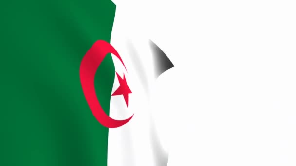 阿尔及利亚国旗视频 3D阿尔及利亚国旗慢动作视频 国旗在白色的背景下自由飘扬 全高清分辨率视频 特写镜头 — 图库视频影像