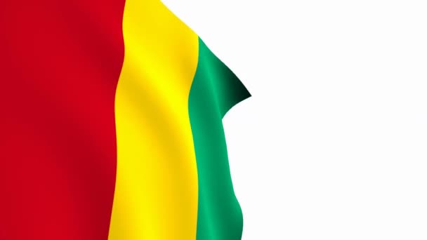 Video Mit Guinea Flagge Guinea Flagge Slow Motion Video Die — Stockvideo