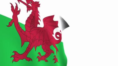 Galler bayrağı videosu. 3d Wales Flag Slow Motion videosu. Ulusal bayrak beyaz arka planda özgürce dalgalanıyor. Tam çözünürlüklü video. yakın çekim görünümü.