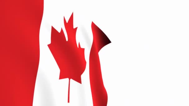 加拿大国旗视频 3D加拿大国旗慢动作视频 国旗在白色的背景下自由飘扬 全高清分辨率视频 特写镜头 — 图库视频影像