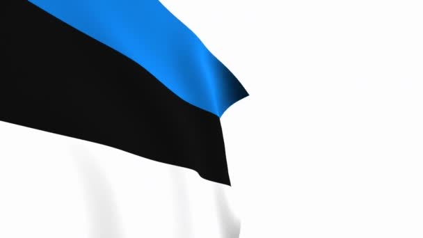 爱沙尼亚国旗视频 3D爱沙尼亚国旗慢动作视频 国旗在白色的背景下自由飘扬 全高清分辨率视频 特写镜头 — 图库视频影像