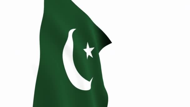 Video Mit Pakistanischer Flagge Pakistan Flagge Zeitlupe Video Die Nationalflagge — Stockvideo