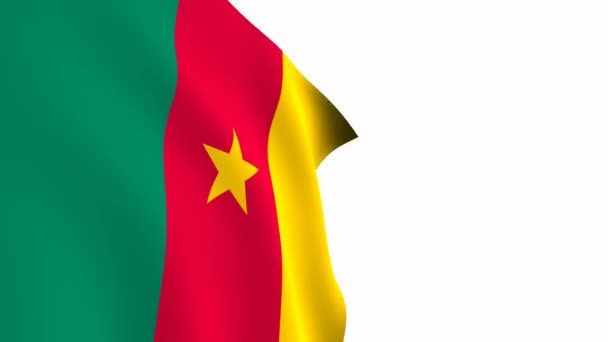 Cameroon Flag Video Cameroon Flag Slow Motion Video National Flag — Stock Video