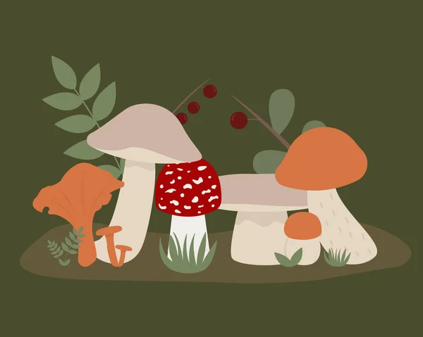 Illustration Différents Champignons Poussant Avec Des Baies Herbe Sur Fond — Image vectorielle