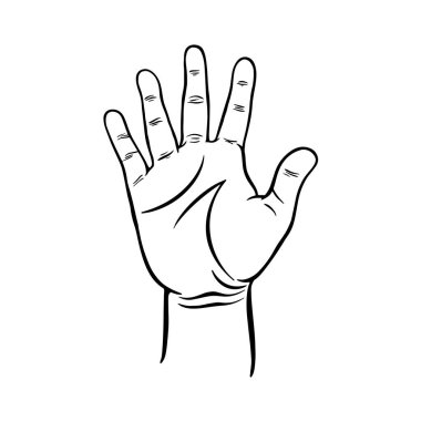 Hand showing five fingers, high five sign. Communication gestures concept. Counting fingers.  number five. hand open palm showing number five