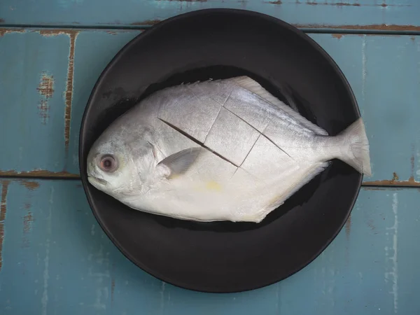 Πάνω Άποψη Φρέσκα Ψάρια Pomfret — Φωτογραφία Αρχείου