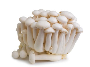 Beyaz arka planda izole edilmiş altın iğneli mantar. (kırpma yolu)     