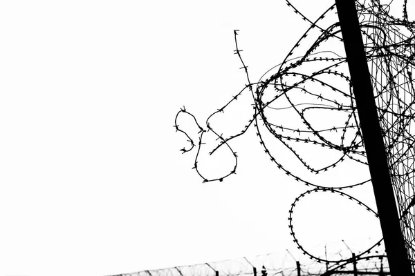 Εικόνα Σιλουέτα Συρματοπλέγματος Που Απομονώνεται Λευκό Φόντο Σιλουέτα Συρματοπλέγματος — Φωτογραφία Αρχείου
