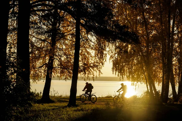 自転車に乗っている大人2人のシルエット 若い夫婦が自転車で座っている 日没の空 木の公園を背景に 碑文のためのコピースペース — ストック写真