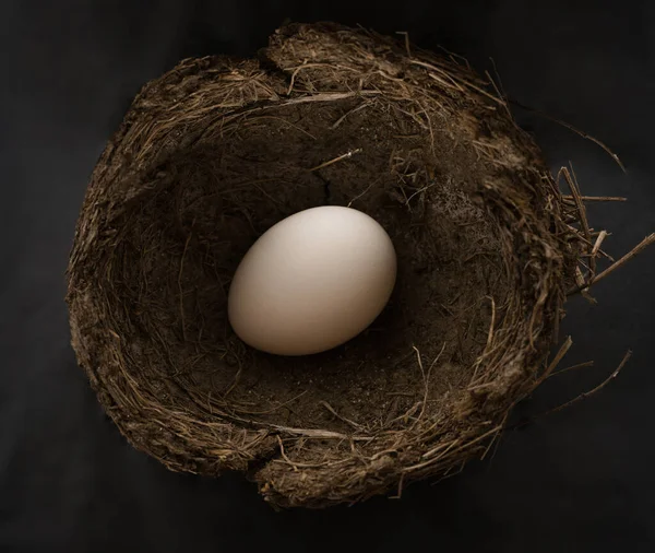 Натуральное Птичье Гнездо Одним Белым Куриным Яйцом Черном Фоне — стоковое фото