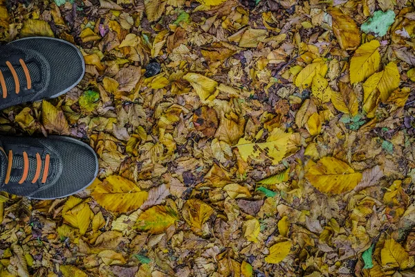 Człowiek Brązowy Buty Stojąc Suchych Liści Jesienią — Zdjęcie stockowe