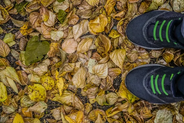 Γκρι Αθλητικά Παπούτσια Πεσμένα Φύλλα Φθινοπώρου Ένας Άντρας Παπούτσια Που — Φωτογραφία Αρχείου