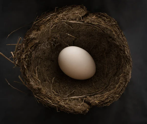 Натуральне Пташине Гніздо Одним Білим Курячим Яйцем Ізольовано Чорному Тлі — стокове фото