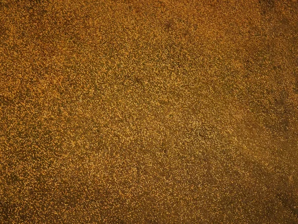 Kırmızı Çim Arka Planda Sarı Yapraklar Çimen Dokusu — Stok fotoğraf