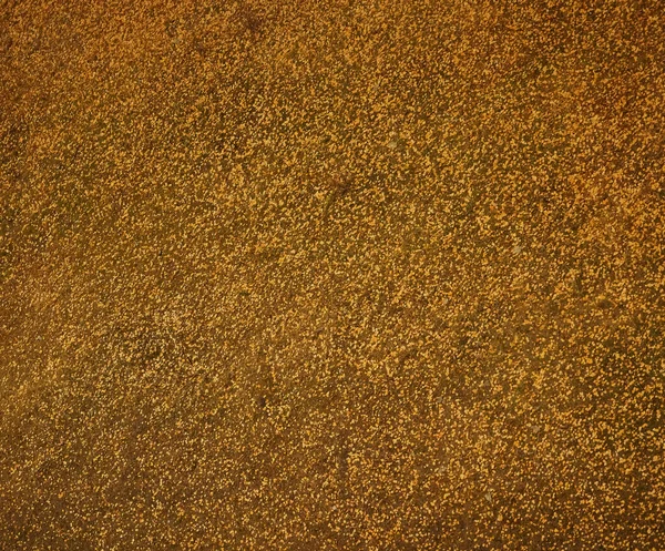 Kırmızı Çim Arka Planda Sarı Yapraklar Çimen Dokusu — Stok fotoğraf
