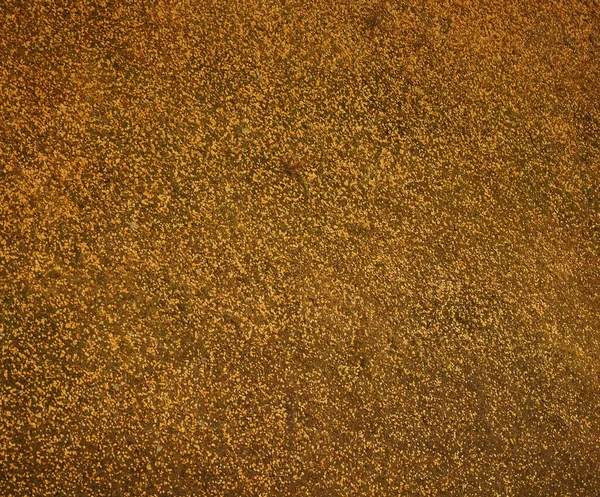 Żółte Liście Czerwonym Tle Trawy Struktura Trawnika — Zdjęcie stockowe