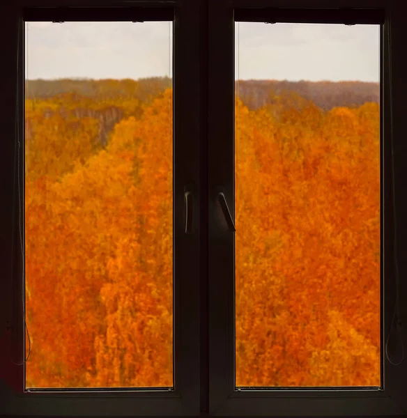 Hermoso Paisaje Otoño Través Del Marco Ventana Ventana Moderna Con —  Fotos de Stock