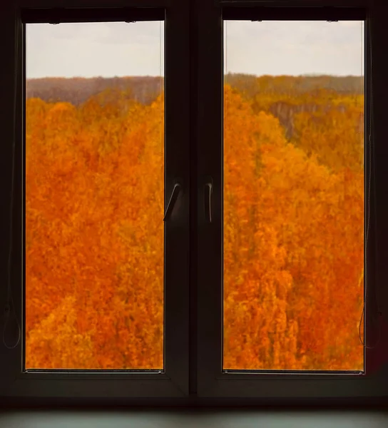 Beau Paysage Automne Travers Cadre Fenêtre Fenêtre Moderne Avec Vue — Photo