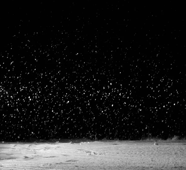 Nevicare Scena Notturna Retroilluminato Strada Innevata Una Notte Nera Scura — Foto Stock