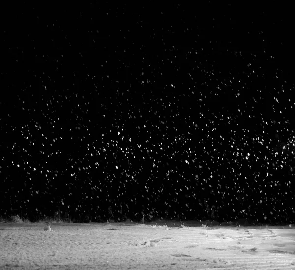 snow fall. night scene. back lit.  snowy road on a dark black night in winter. Winter street  during a snowfall. A strong storm. snow in looks blurred. snow fallen during the night. black background