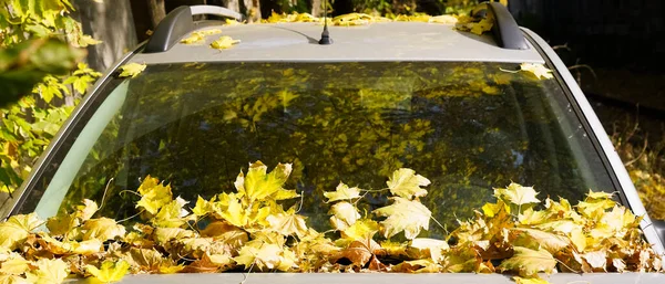 Καπάκι Αυτοκινήτου Και Παρμπρίζ Κίτρινα Φθινοπωρινά Φύλλα — Φωτογραφία Αρχείου