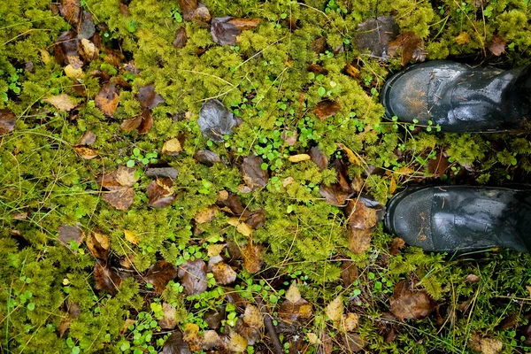 Yeşil Yosun Üzerinde Siyah Erkek Lastik Çizmeler Ormandaki Islak Çimenler — Stok fotoğraf