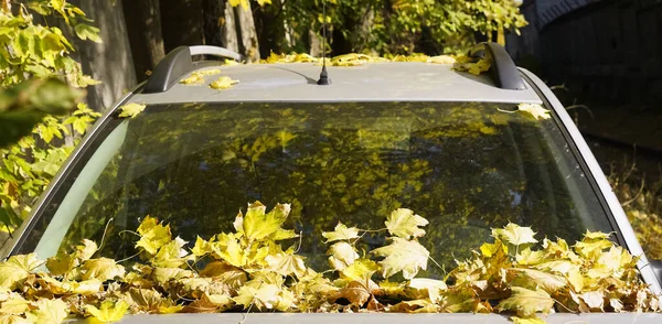 Καπάκι Αυτοκινήτου Και Παρμπρίζ Κίτρινα Φθινοπωρινά Φύλλα — Φωτογραφία Αρχείου