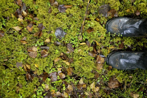 Black Male Rubber Boots Green Moss Wet Grass Forest Top — Stock Photo, Image