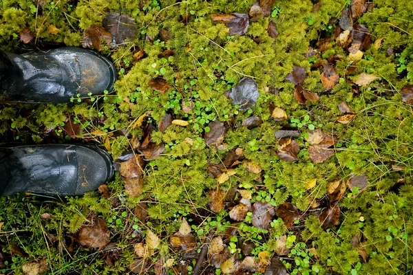 Μαύρες Αρσενικές Λαστιχένιες Μπότες Πράσινα Βρύα Και Υγρό Γρασίδι Στο — Φωτογραφία Αρχείου