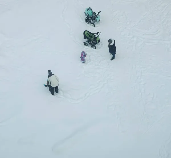 霜の冬の公園を歩く2人の赤ん坊ベビーカーを持つ2人の女性 — ストック写真