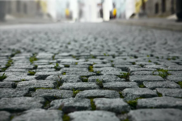 Steen Zonlicht Plaveien Oude Straatvloer Bestrating Achtergrond Straattegels Europa Keien — Stockfoto