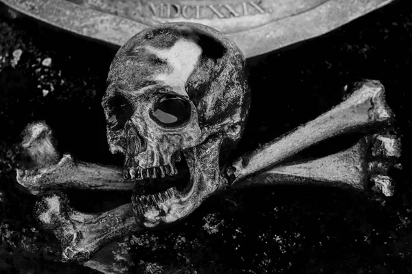 鉄の頭蓋骨の画像が墓を添付した 頭蓋骨の頭だ ハロウィーンのアイデアシンボル宗教 — ストック写真