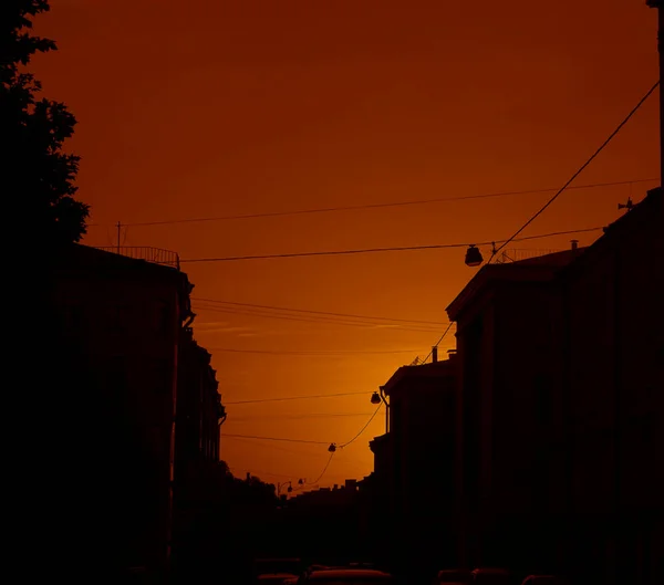 Roof Petersburg Famous White Nights — Stock Photo, Image