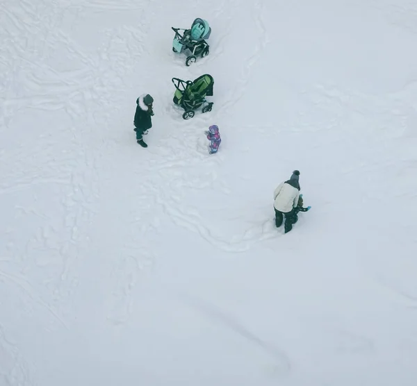 Zwei Frauen Mit Zwei Kinderwagen Laufen Frost Durch Den Winterpark — Stockfoto