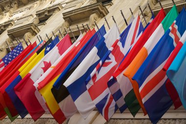 Birçok farklı ülkenin bayrakları taş yapıya karşı dalgalanıyor. Resimde kopyalama alanı var. Hofburg, Viyana, Avusturya.