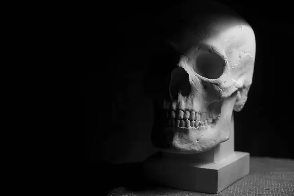 Human Skull Gypsum Material Front View Picture Isolated Black Background — Stock Photo, Image