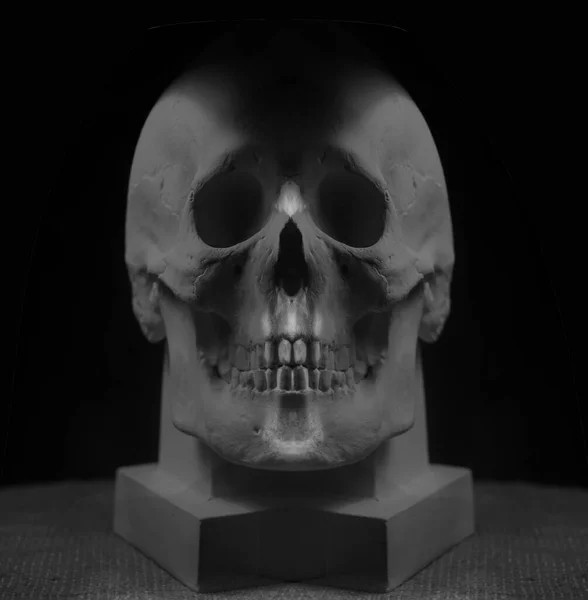Cráneo Humano Con Yeso Como Material Como Imagen Vista Frontal —  Fotos de Stock