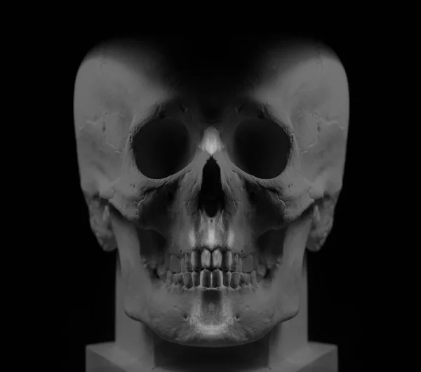 Human Skull Gypsum Material Front View Picture Isolated Black Background — Stock Photo, Image