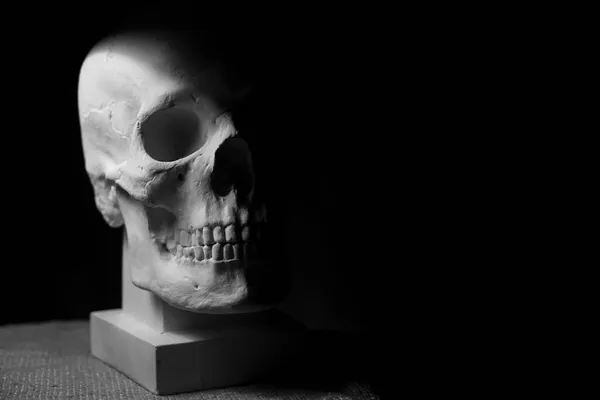 石膏を素材とした人間の頭蓋骨と正面図です 黒い背景に隔離され — ストック写真